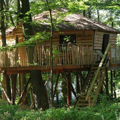 B&B La Cabane du Bois Dormant (Av Peltzer de Clermont 26 4900 Spa)