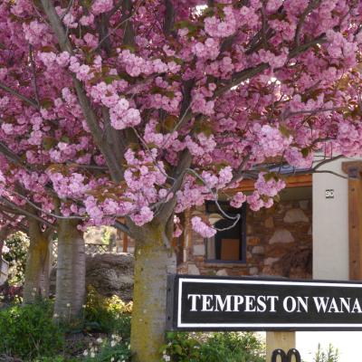 Tempest on Wanaka (90 Hedditch Street 9305 Wanaka)