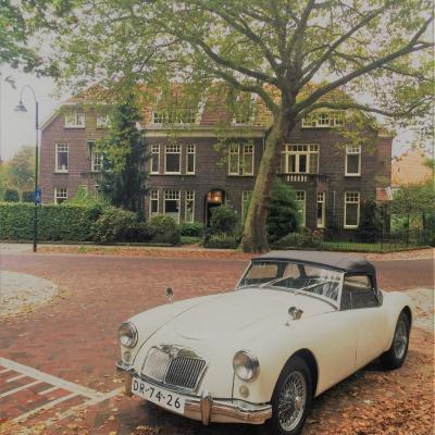 Boutiquehotel Sycamore - Protected City View - Free Parking (Parklaan 36 5613 BE Eindhoven)