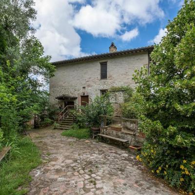 Agriturismo Il Poggio degli Scoiattoli (Strada di Monte Pacciano 15 06131 Pérouse)