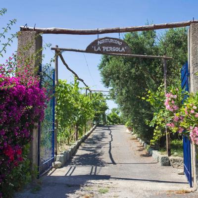 Agriturismo La Pergola (Via San Giuseppe 24 80075 Ischia)