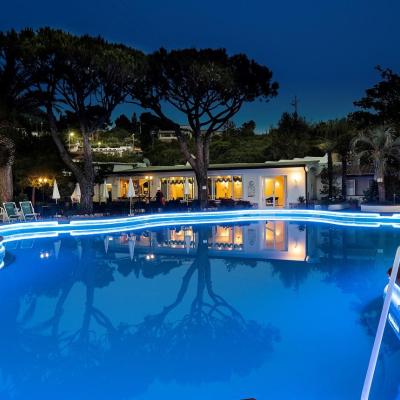 Hotel Terme Park Imperial (Via Provinciale Panza 166 80075 Ischia)