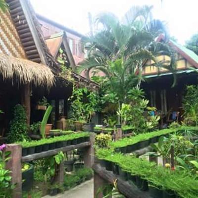 P P Garden Home Bungalow (Ko Phi Phi, Ao Nang , Krabi 83100 Koh Phi Phi Don)