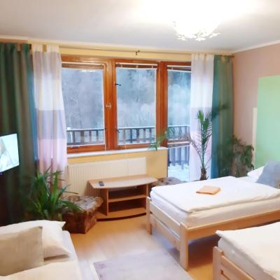 Penzion Havaj (Staromlýnská 21 Březová u Karlových Varů 360 01 Karlovy Vary)