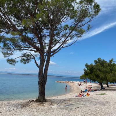 Family Apartments Vesna- 100 m Beach -Center Crikvenica (Kralja Tomislava 65 b 51260 Crikvenica)