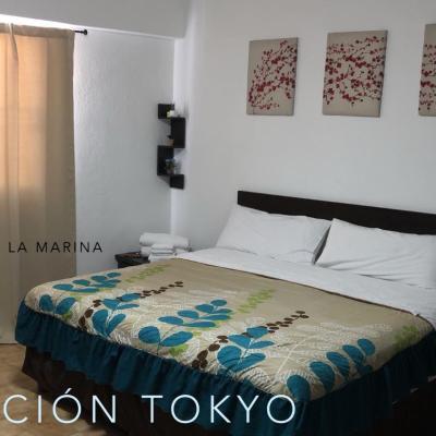 Cabo Tortuga Hotel Boutique (miguel hidalgo entre boulevar marina y calle camino del conejo lote 10 23450 Cabo San Lucas)