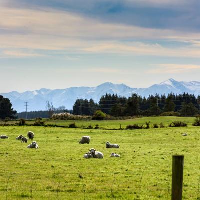 Gem bed and breakfast (1552 Old West Coast Road 7671 Christchurch)