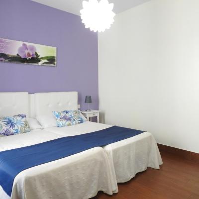 Habitaciones Amelia (Calle Miguel Soler n, 10 3 piso 03002 Alicante)