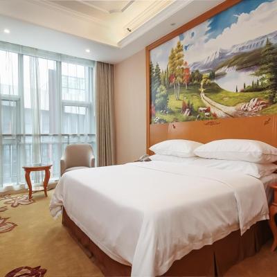 Vienna Hotel Nanjing Olympic Sports Center (No.150 Leshan Road Jianye District 210000 Nankin)