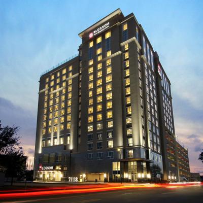 Blossom Hotel Houston (7118 Bertner Avenue TX 77030 Houston)