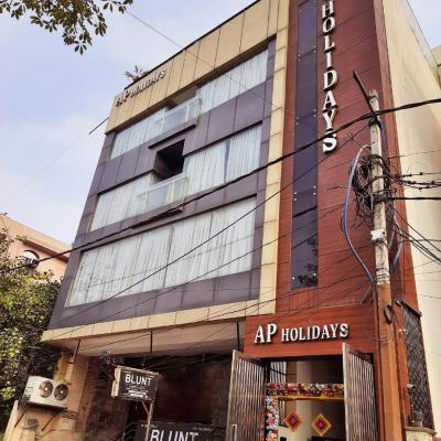 AP Holidays (Plot No.8, Pocket-8B, Near Indian Bank, Sector- 15, Rohini, North Delhi, Delhi -110085, India 110085 New Delhi)