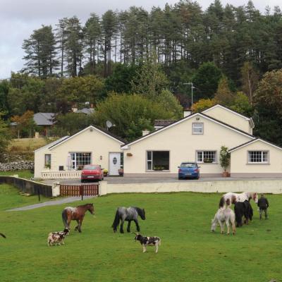 Muckross Riding Stables (Mangerton Rd, Muckross, Killarney, Co Kerry  Killarney)