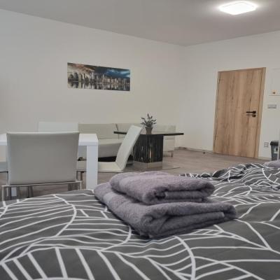 Apartmány U Jiříka (670/20 Břustkova 700 30 Ostrava)