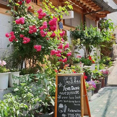 Yeon Dang Guesthouse (3, Gyedong 6-gil, Jongno-gu 110-270 Séoul)