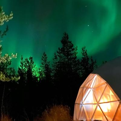 Pandomes Aurora Igloo Hotel (23 Koniniementie 97520 Rovaniemi)