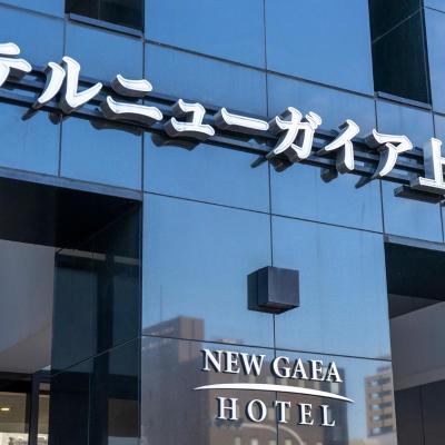 Hotel New Gaea Kamigofuku (Hakata-ku, Kamigofukumachi 14-25  812-0036 Fukuoka)