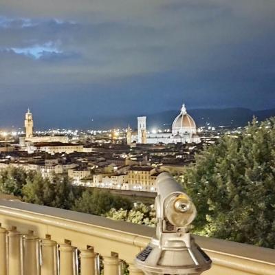 Firenze inn 21 Florence (21 /nero  black Via Luigi Alamanni Second floor apartment no 7 50123 Florence)