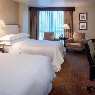 Sheraton Houston Brookhollow (3000 North Loop West TX 77092 Houston)