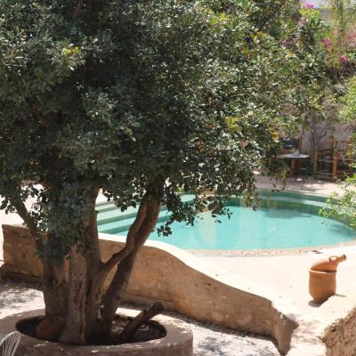 Villa Grenadine ( P 2201 Route D'Agadir Km 7, 44000  44000 Essaouira)