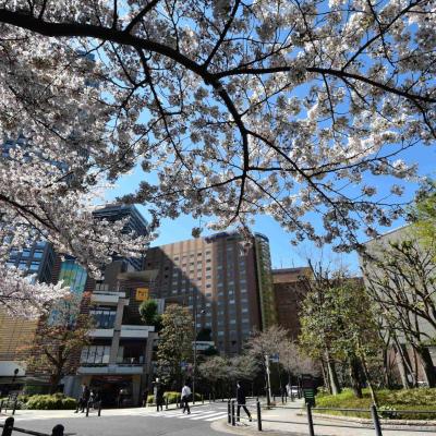 Hotel Metropolitan Edmont Tokyo (Chiyoda-ku Iidabashi 3-10-8  102-8130 Tokyo)