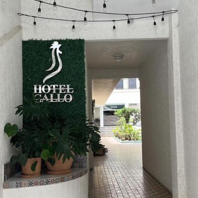 Hotel Gallo (Gigantes 287, Col. San Juan de Dios 44100 Guadalajara)