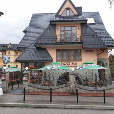 Brzoza w centrum Zakopanego (ul. Brzozowa 25 34-500 Zakopane)