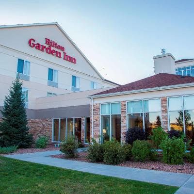 Hilton Garden Inn Colorado Springs Airport (2035 Aerotech Drive CO 80916 Colorado Springs)