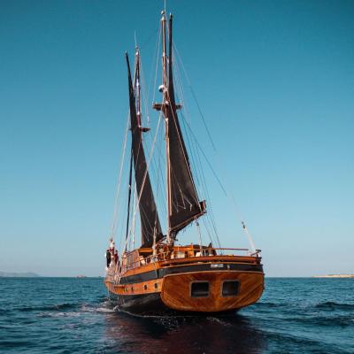 Wooden Boat- La Goletta (80 Passeig de Joan de Borbó 08039 Barcelone)