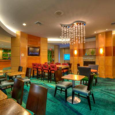 SpringHill Suites by Marriott - Tampa Brandon (1051 South Falkenburg Road FL 33619 Tampa)