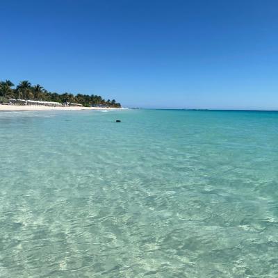 Maison Tulum (Calle Alfa Norte Esquina con Sagitario Poniente S/N Colonia Centro 77780 Tulum)