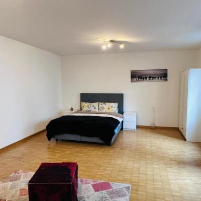 Apt near Basel Centre and Airport (Colmarerstrasse 3 4055 Bâle)