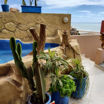 Surf & Salsa GuestHouse (G85C+FV 80030 Agadir)