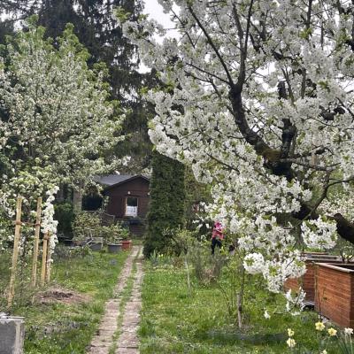 Fußball-Hochburg! Gartenparadies für Campen/Zelten (Lerchenheide 70372 Stuttgart)