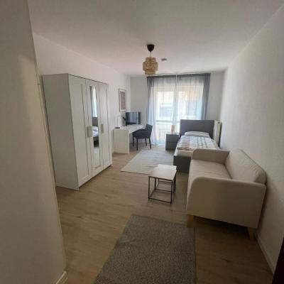 Wegener Apartments (12-13 H1 68159 Mannheim)