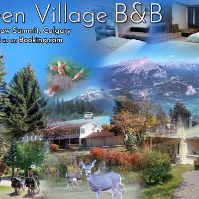 Green Village B&B (60 Bearspaw Summit T3R 1B5 Calgary)