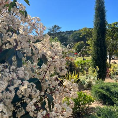 Hotel les jardins Sta Giulia avec piscine (Précojo route de Bonifacio 20137 Porto-Vecchio)