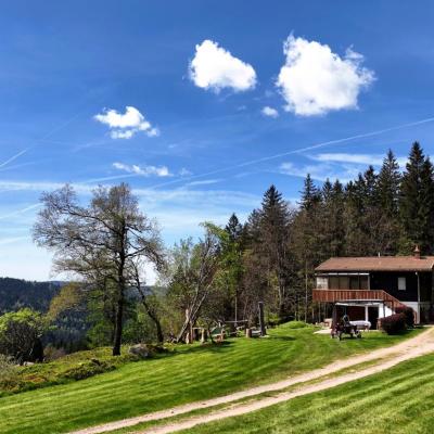 Chalet Perle des Hauts (6 Chemin de Derrière le Haut 88400 Gérardmer)