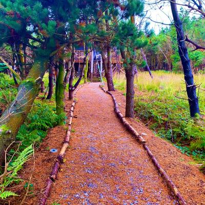 Luxury tree top glamping safari tent (Knockasarnet  Killarney)