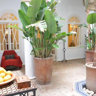 Dar Loulema (2 Rue Souss 44000 Essaouira)