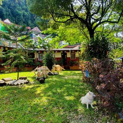 Passion Nepal Eco Lodge (Lakeside Road 21a 33700 Pokhara)