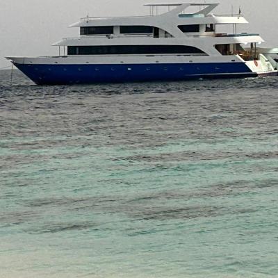 Maldives Safary Tours (11046 Nirolhu Magu 23000 Malé)