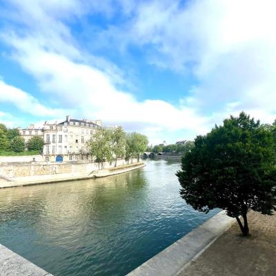 Large Parisian Duplex (2 rue de Lesdiguières 75004 Paris)