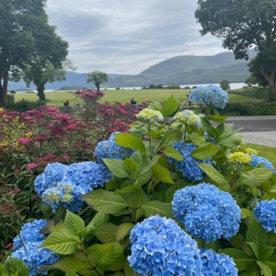 Loch Lein Country House (Fossa . Killarney)