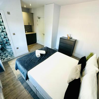 Brand New Room, London City Center (Furmage Street SW18 4DF Londres)