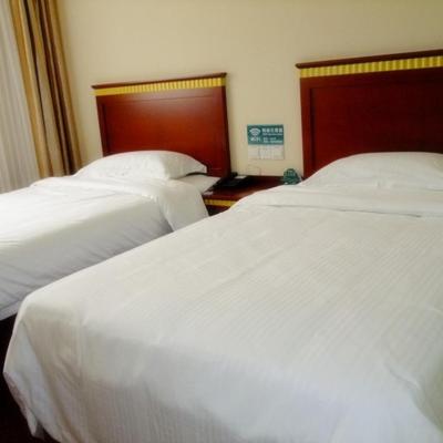 GreenTree Inn Nanjing Qinhuai District Xinjiekou Subway Station Express Hotel (No.101, South Zhongshan Road 210000 Nankin)