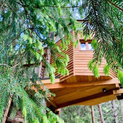 Cabane dans les Arbres de Valmo'Insolite (Rte Foretiére de Côté Soleil 73260 Valmorel)