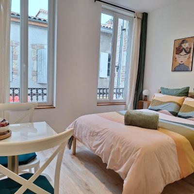 Chambre FRIDA avec salle d'eau privée (32 Rue des Ambans 47000 Agen)