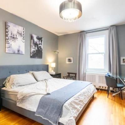 2 Kings in 2 Rooms Downtown (58 Sherbrooke Street West H2X 1X3 Montréal)