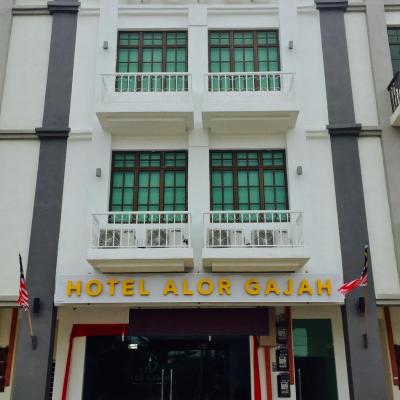 Hotel Alor Gajah (KM28,Jalan Perniagaan Jelatang 2, Pusat Perniagaan Jelatang, 78000 Malacca)