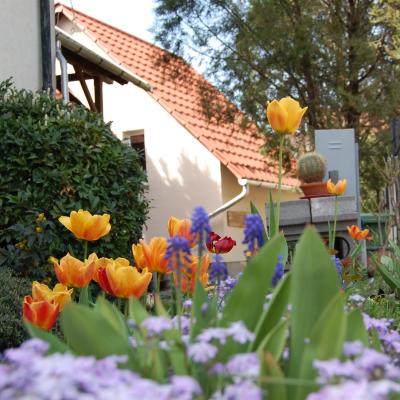 Maya Guesthouse (Janicsár út 6 3300 Eger)